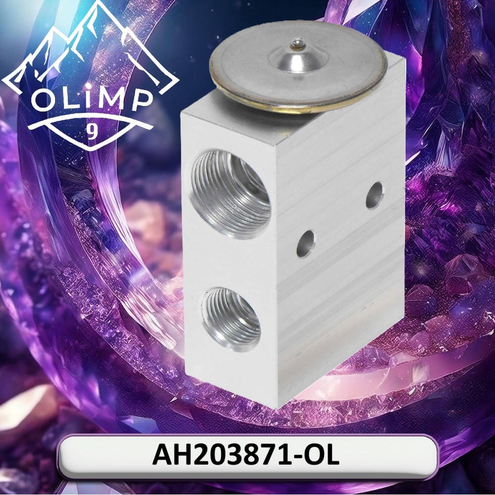 AH203871-OL Valve (Olimp9)