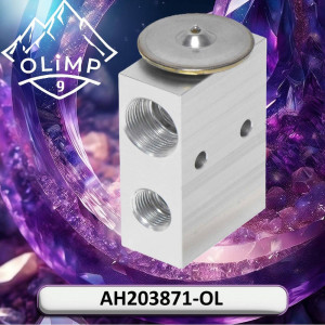 AH203871-OL Valve (Olimp9)