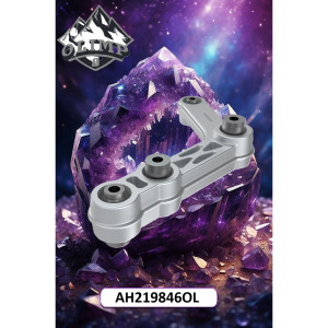 AH219846-OL Right Lever (Olimp9)