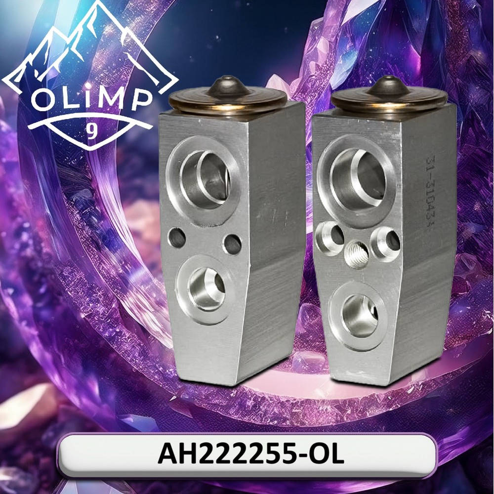 AH222255-OL Valve (Olimp9)
