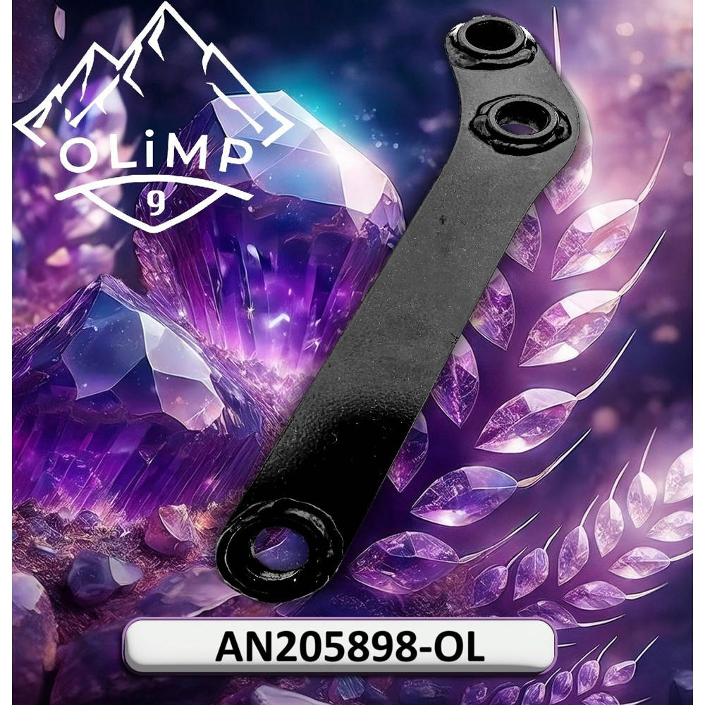 AN205898-OL Bracket (Olimp9)