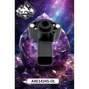 AXE14245-OL Czujnik (Olimp9)