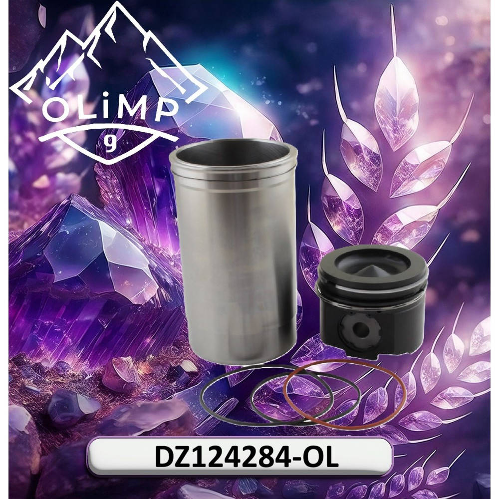 DZ124284-OL Engine Piston Set (Olimp9)