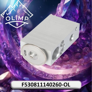 F530811140260-OL Valve (Olimp9)