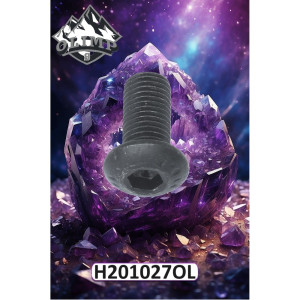 H201027-OL Bolt (Olimp9)
