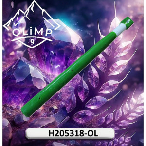 H205318-OL Палець (Olimp9)