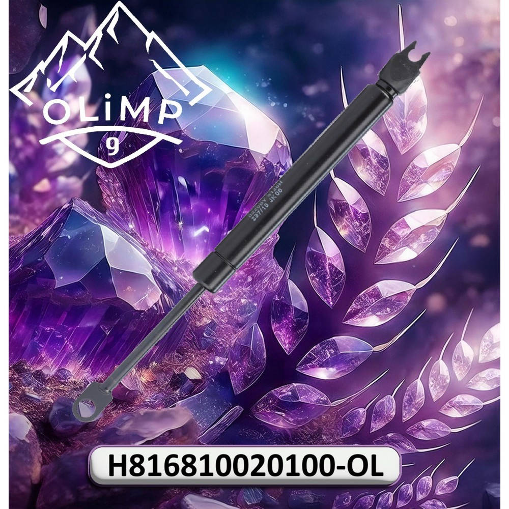 H816810020100-OL Gas Shock Absorber (Olimp9)