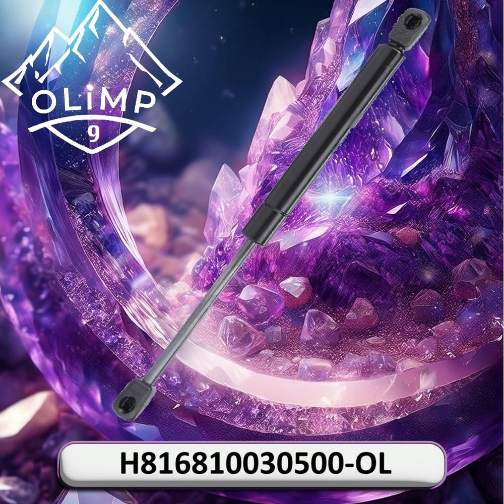 H816810030500-OL Gas Shock Absorber (Olimp9)