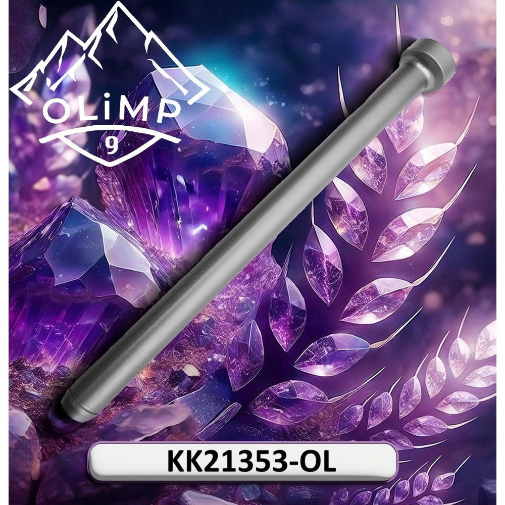 KK21353-OL Палець (Olimp9 власне виробництво)