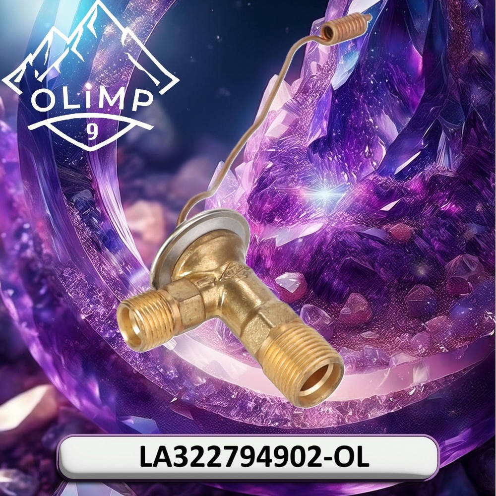 LA322794902-OL Zawór (LA322794902) (Olimp9)