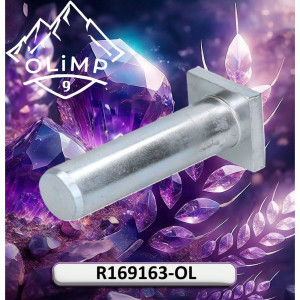 R169163-OL Black Metal Pin Without Thread (Olimp9)