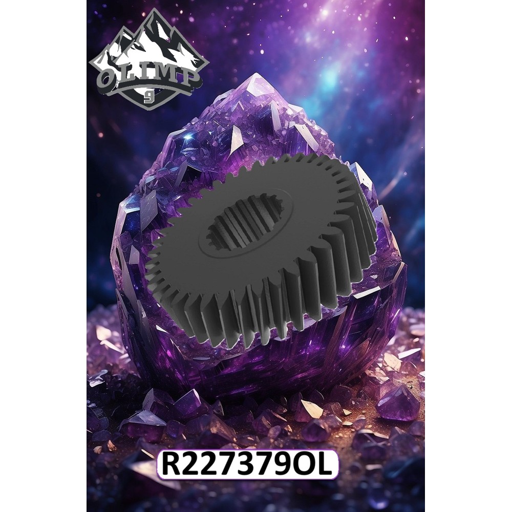 R227379-OL Differential Gear (Olimp9)