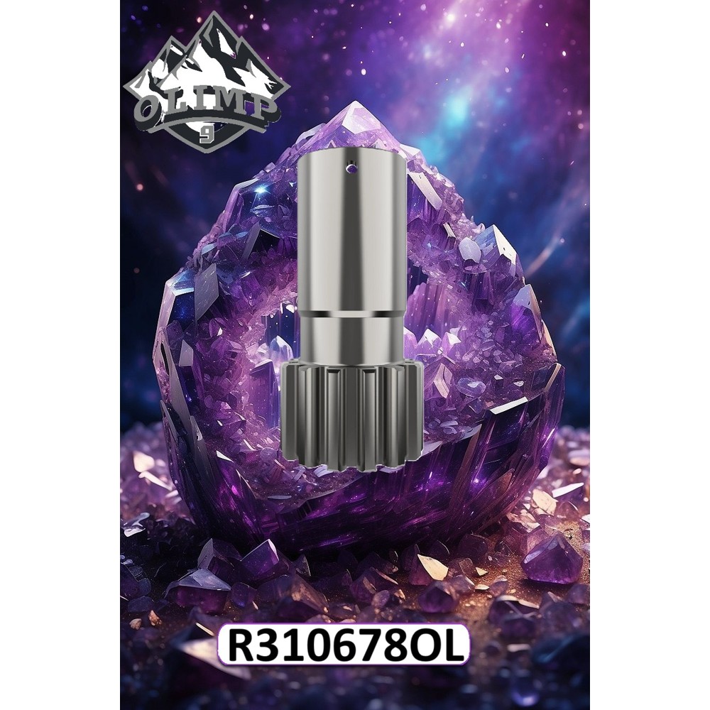 R310678-OL Koło zębate przekładni końcowej (Olimp9)