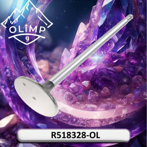 R518328-OL Engine Valve (Olimp9)