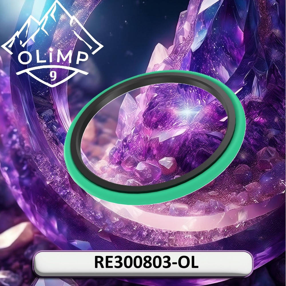 RE300803-OL Seal 30042403 (Olimp9)