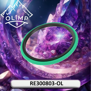 RE300803-OL Seal 30042403 (Olimp9)