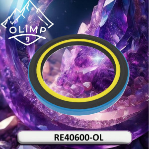 RE40600-OL Rubber-metal seal (Olimp9)