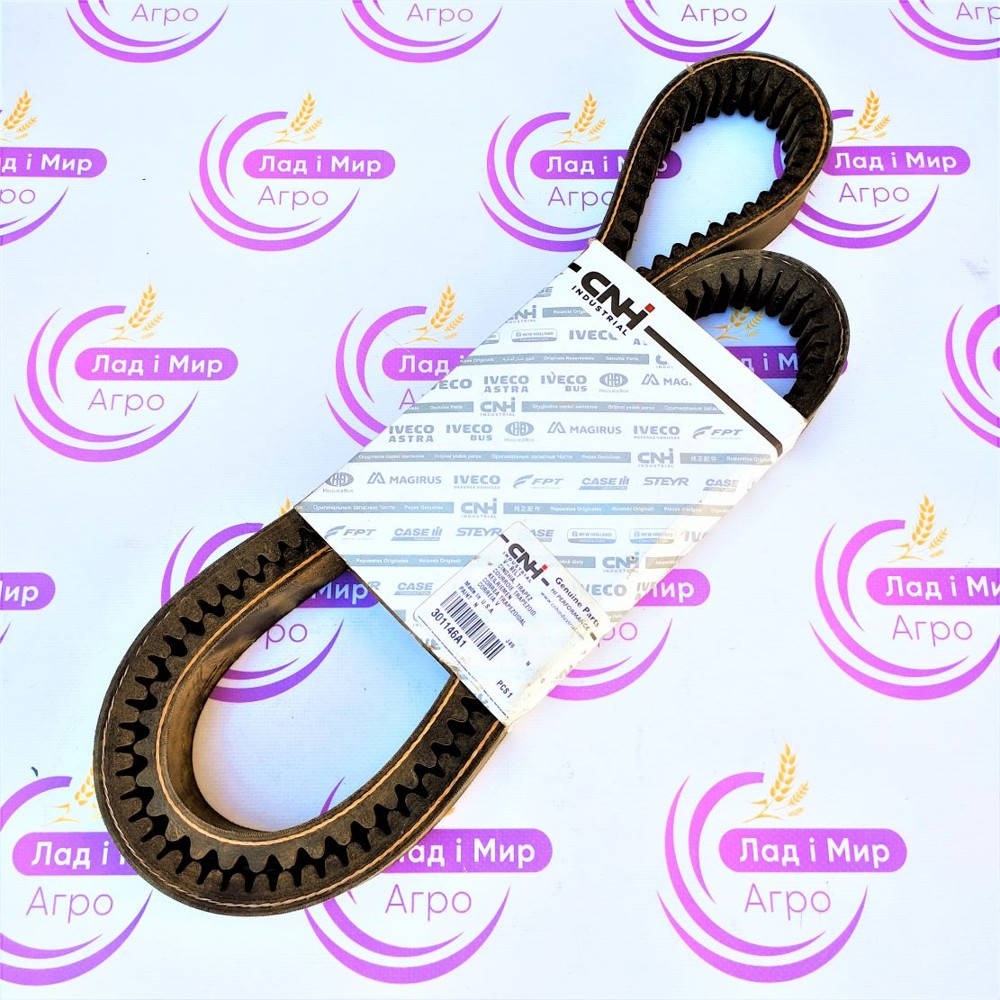 301146A1 Belt (SANOK/HARVEST Belts)
