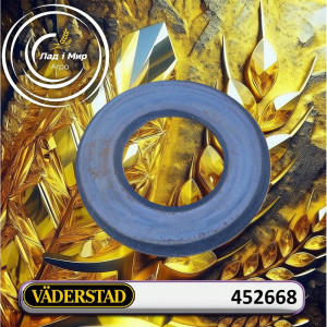 452668 Plate (VADERSTAD)