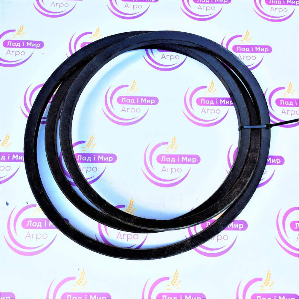 80387469-TG Пас (TAGEX)