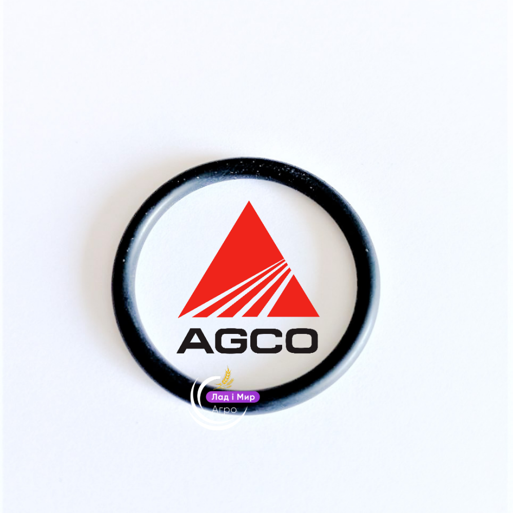 X548881466000 RING 28x3 (Agco)