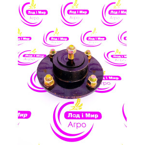 W248429B Hub (can be replaced with -  GA8641 + 2 шт B555) (Massey Ferguson)