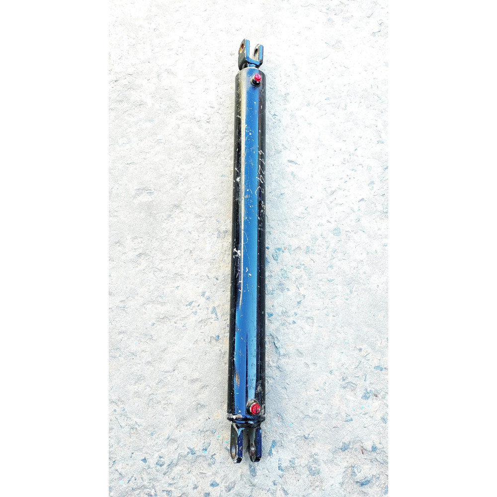 S425120 Hydraulic Cylinder (Will-Rich (Amity)