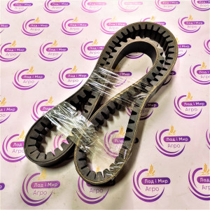 554172-TG Пас (TAGEX)