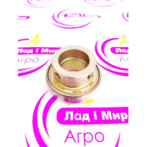 RAE30NPPB Bearing D=62mm X d=30mm (INA)