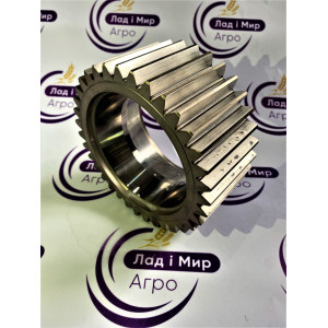 970.06.021.06 Gear of the axle transmission (DANA)