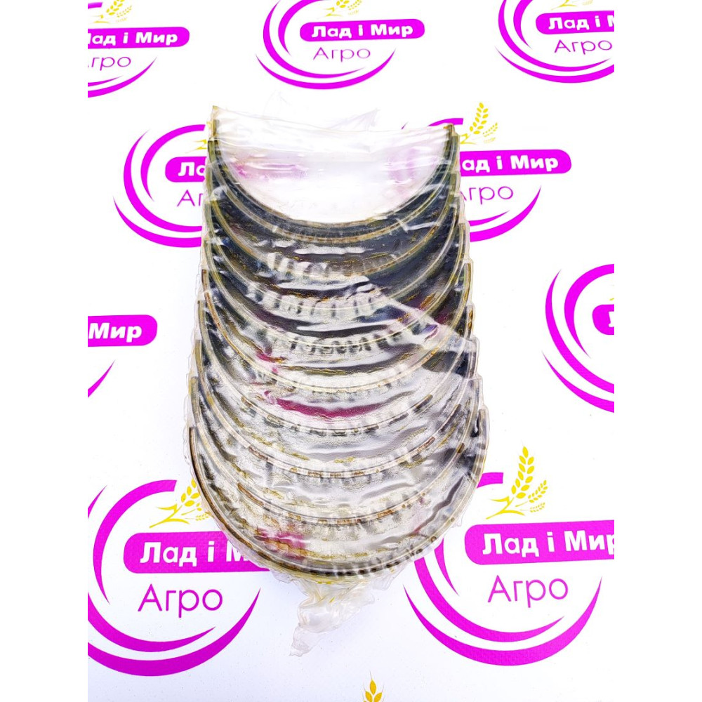 236-1005170-В Set of Inserts (Various Manufacturers)