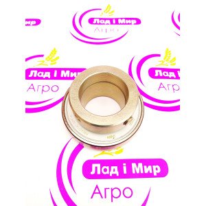 RAE40NPPB Bearing (INA)
