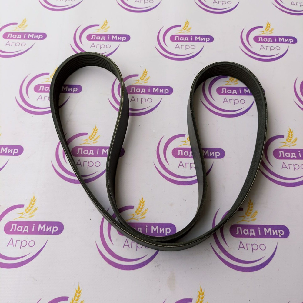 8PK1425HD Belt (DAYCO)