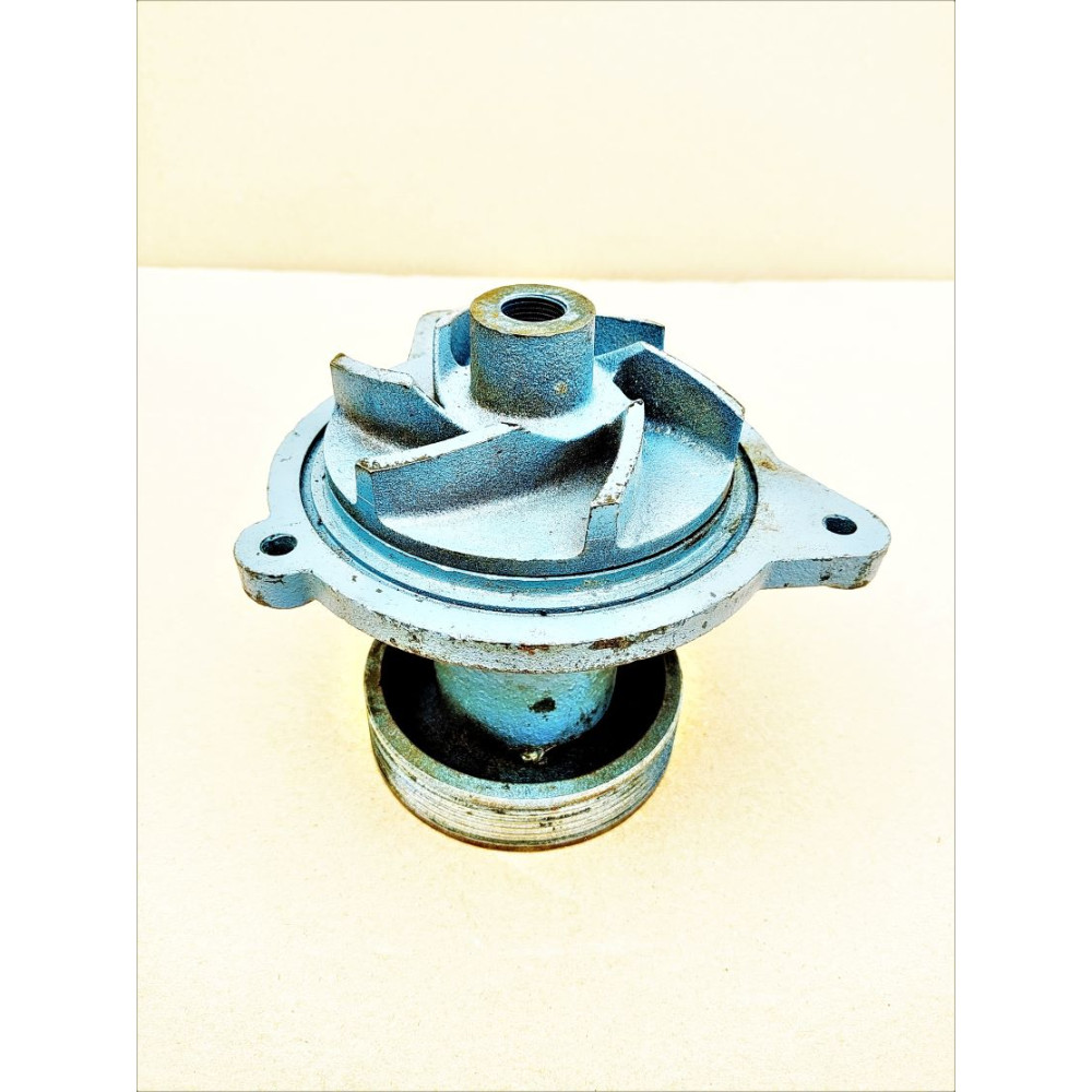7406-1307010 Pump (Domestic)