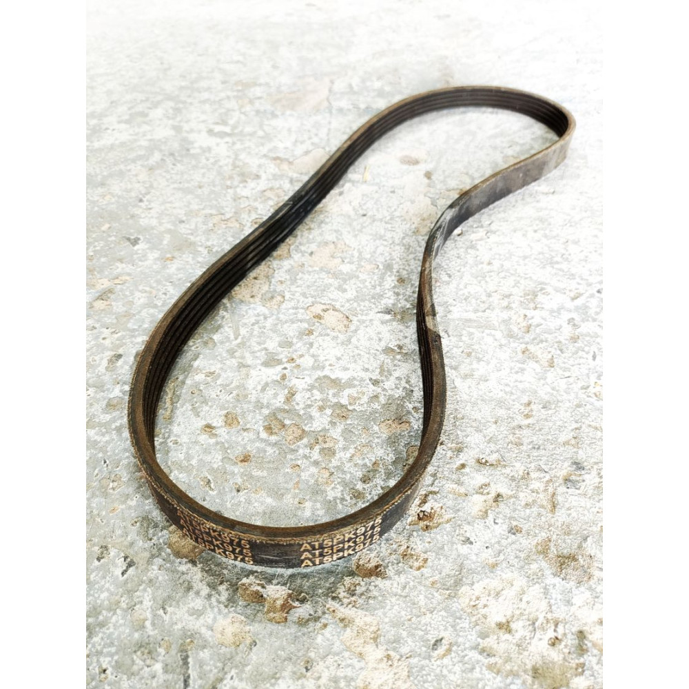 AT5PK975 Belt (Domestic)