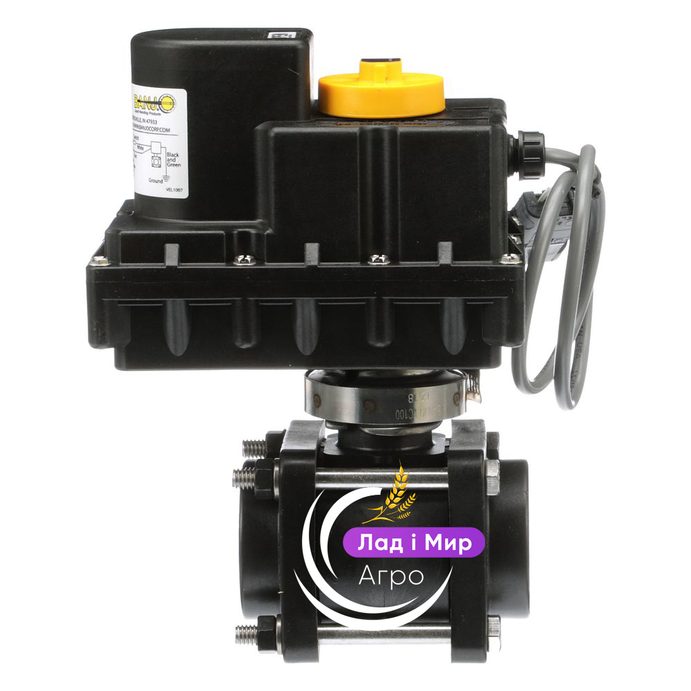 87268179 Valve (SPX4430) (CNH)