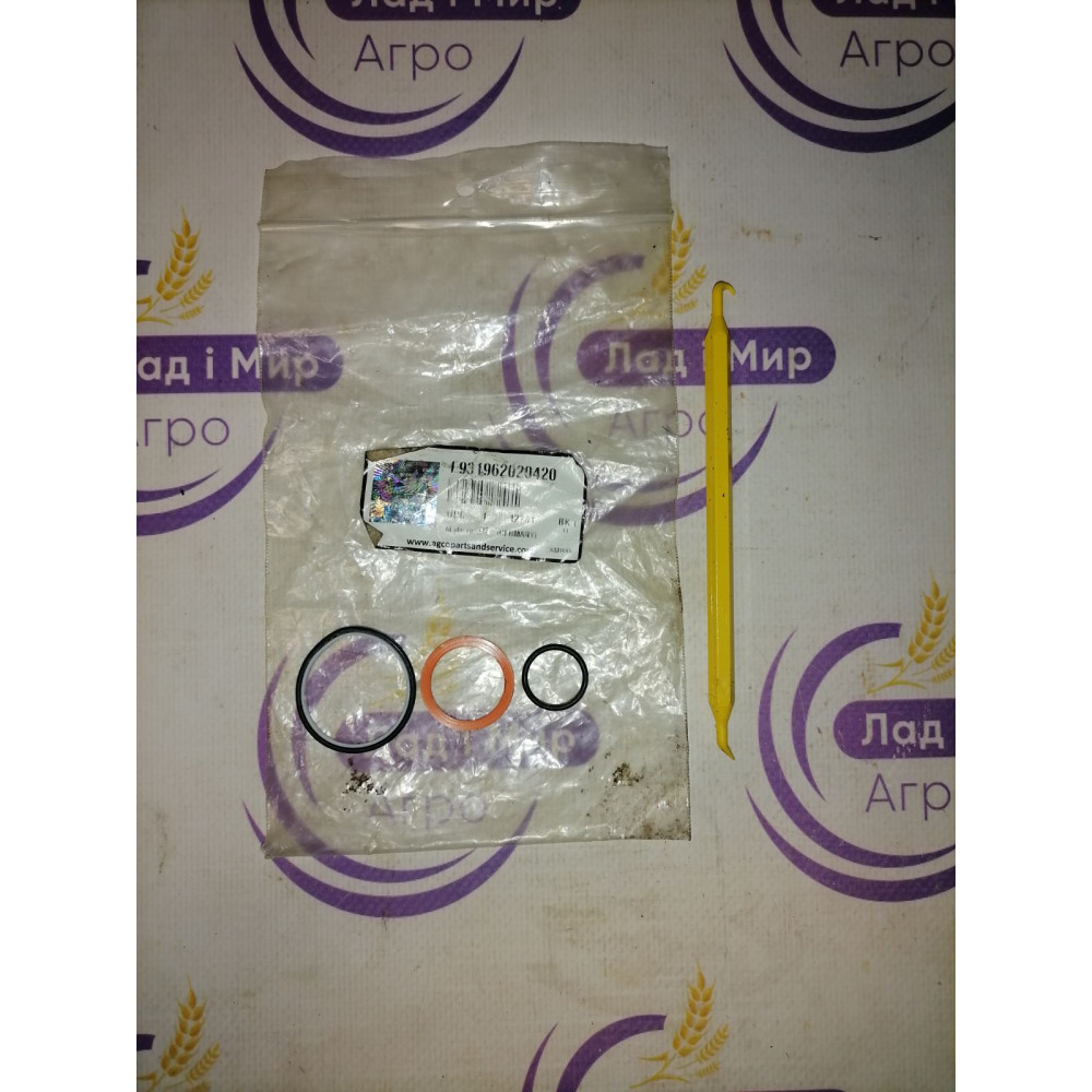 F931962020420 Seal Kit (Agco)