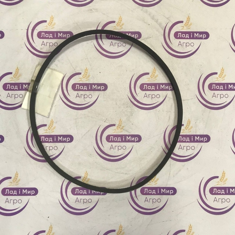 AV10-1018 Belt (PIX BELTS)