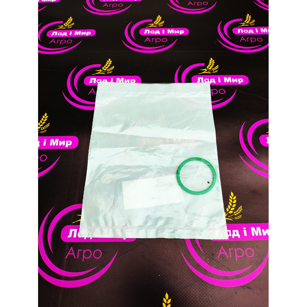 F934201710250-LM Ring F934201710190 (Lad i Mir parts)