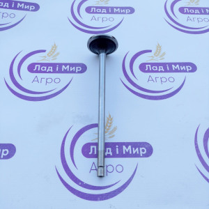 FP-R520223 Intake Valve (FP DIESEL)