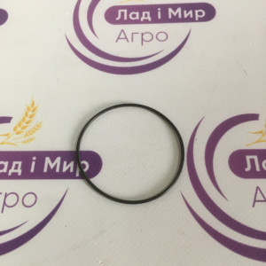 N260556 Ring (John Deere)