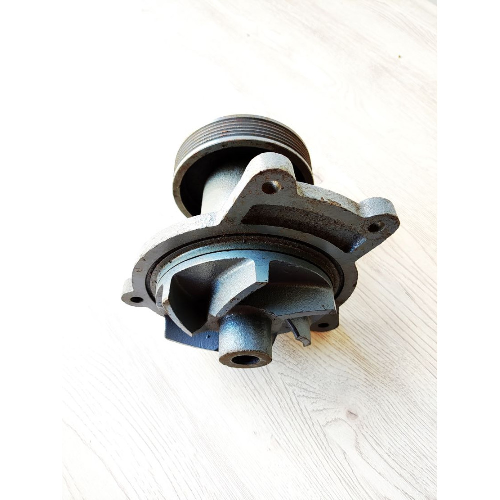 7406-1307 015-10 Pump (Domestic)