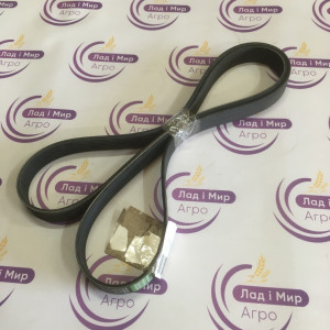 AP1003940 Poly-V Belt (OPTIBELT)