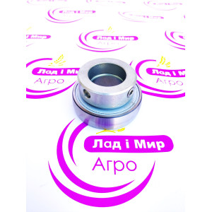RAE35NPPB Bearing (INA)